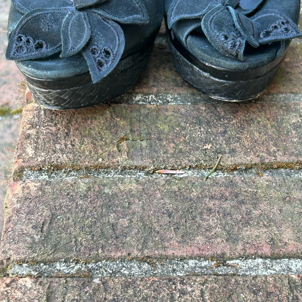 Charles David Black Wedge Heels y.